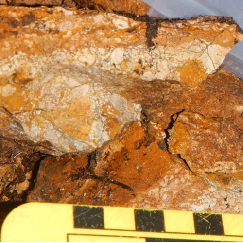 Prospect Valley - Sample of strongly altered and bleached limonitic volcanic cut by stockwork to crackle breccia of limonitic silica that returned one of the highest antimony values recovered on the project (120.5 ppm Sb with <0.001 g/t Au, 0.279 g/t Ag, Sample S420130).