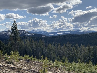 View from Mountain and Coquihalla Pass – July 2022