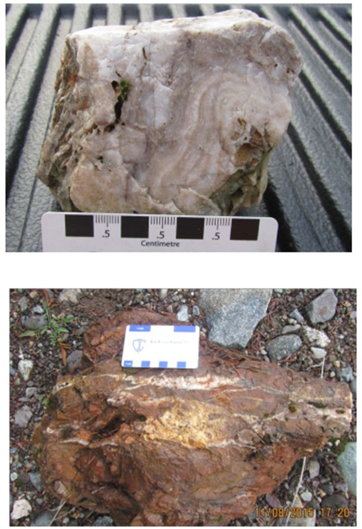 Quartz Veining in Rock Samples at Bonanza Target