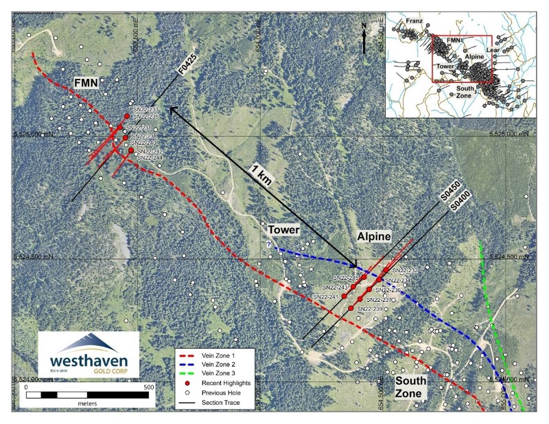 PLAN MAP WITH VEIN TRACES